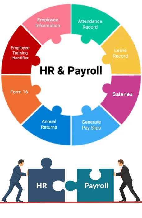 HR & Payroll Management